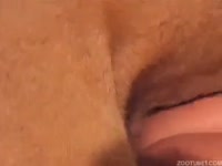 Homemade dog sex with a young bitch